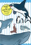 海洋動物怎麼那麼可愛！圖鑑 (電子書) - 圖片 1