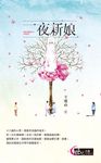 一夜新娘：望風亭傳奇 (電子書) - 圖片 1