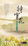 待宵花：阿祿叔的八二三 (電子書) - 圖片 1