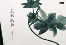 風的眼神 (電子書) - 圖片 1