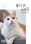 黃阿瑪的後宮生活8:最珍惜的時光 (電子書) - 圖片 1