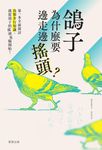 鴿子為什麼要邊走邊搖頭? (電子書) - 圖片 1