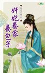 奸妃養家養包子 (電子書) - 圖片 1