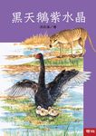 黑天鵝紫水晶 (電子書) - 圖片 1