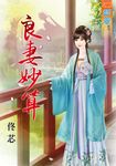 良妻妙算 (電子書) - 圖片 1