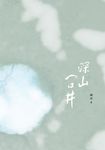 深山一口井 (電子書) - 圖片 1