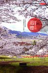 追櫻 (電子書) - 圖片 1