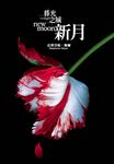 暮光之城：新月 (電子書) - 圖片 1