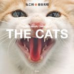 ねこ科 - 圖片 1