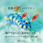 世界の美しいウミウシ - 圖片 1
