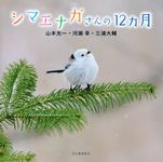 シマエナガさんの12カ月 - 圖片 1