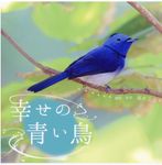 幸せの青い鳥 - 圖片 1