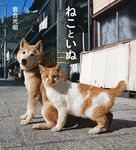 ねこといぬ IWAGO´S BOOK 3 - 圖片 1