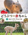 くらべよう!どうぶつの赤ちゃん 5 - 圖片 1