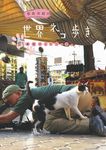 岩合光昭の世界ネコ歩き続々番組ガイドブック - 圖片 1