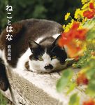 ねことはな IWAGO’S BOOK 4 - 圖片 1