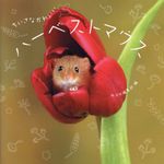ちいさなかわいいハーベストマウス - 圖片 1