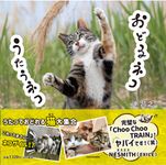 おどるネコうたうネコ - 圖片 1