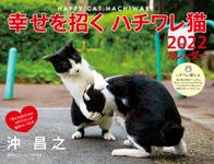 幸せを招くハチワレ猫カレンダー 2022 - 圖片 1