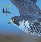 天空の戦士 隼 - 圖片 1