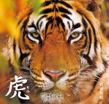 虎とら - 圖片 1
