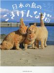 日本の島のごきげんな猫 - 圖片 1
