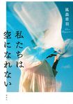 私たちは空になれない - 圖片 1