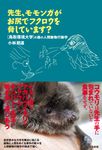 先生、モモンガがお尻でフクロウを脅しています? - 圖片 1