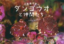 不思議可愛いダンゴウオと仲間たち(増補新装版) - 圖片 1