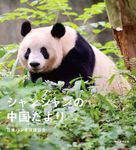 シャンシャンの中国だより - 圖片 1