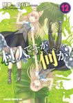 村人ですが何か? 12 ドラゴンコミックスエイジ さ-12-1-12 - 圖片 1