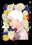 光が死んだ夏 - 圖片 1