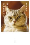 明日も一日きみを見てる - 圖片 1