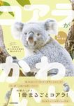 コアラがかわいい 生態から癒やされる写真まで魅力のすべて - 圖片 1