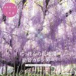 にっぽんの花地図絶景カレンダー 2026 [カレンダー] - 圖片 1