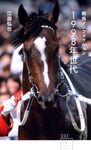 競馬ノンフィクション1998年世代 星海社新書 233 - 圖片 1