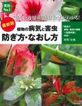 最新版植物の病気と害虫防ぎ方・なおし方 実用No.1 - 圖片 1