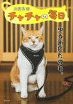 元野良猫チャチャの毎日 - 圖片 1