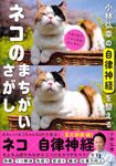 小林弘幸の自律神経を整えるネコのまちがいさがし - 圖片 1