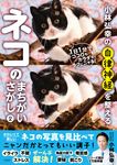 小林弘幸の自律神経を整えるネコのまちがいさがし 2 - 圖片 1