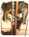 ココニャさんちの障子破り猫軍団 - 圖片 1