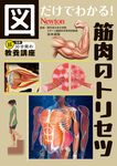 図だけでわかる! 筋肉のトリセツ 超効率30分間の教養講座 - 圖片 1