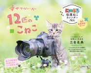 にゃっぷる保護ねこカレンダー卓上版 2026 [カレンダー] - 圖片 1
