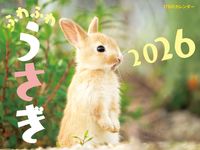 JTBのカレンダーふわふわうさぎ 2026 [カレンダー] - 圖片 1