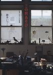 この世あそび - 圖片 1