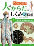 感覚器官と脳のはたらき どうなってるの!?人のからだのしくみ大図解 5 - 圖片 1