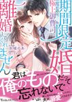 期間限定婚だったのに極上御曹司が離婚してくれません ヴァニラ文庫 VBL-369(文庫) - 圖片 1