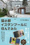 猫の都イスタンブールに住んでみた - 圖片 1