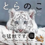 とらのこ - 圖片 1