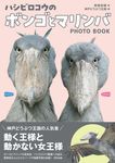 ハシビロコウのボンゴとマリンバ - 圖片 1